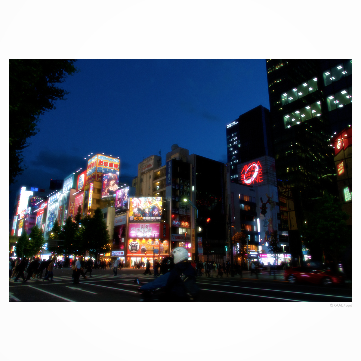 秋葉原中央通りの夜景