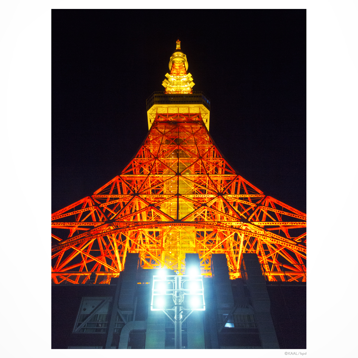 夜の東京タワー