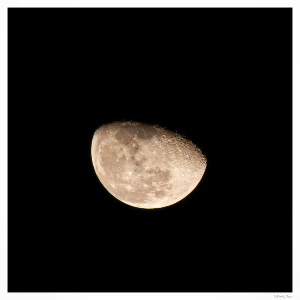 Sit wait moon 居待月