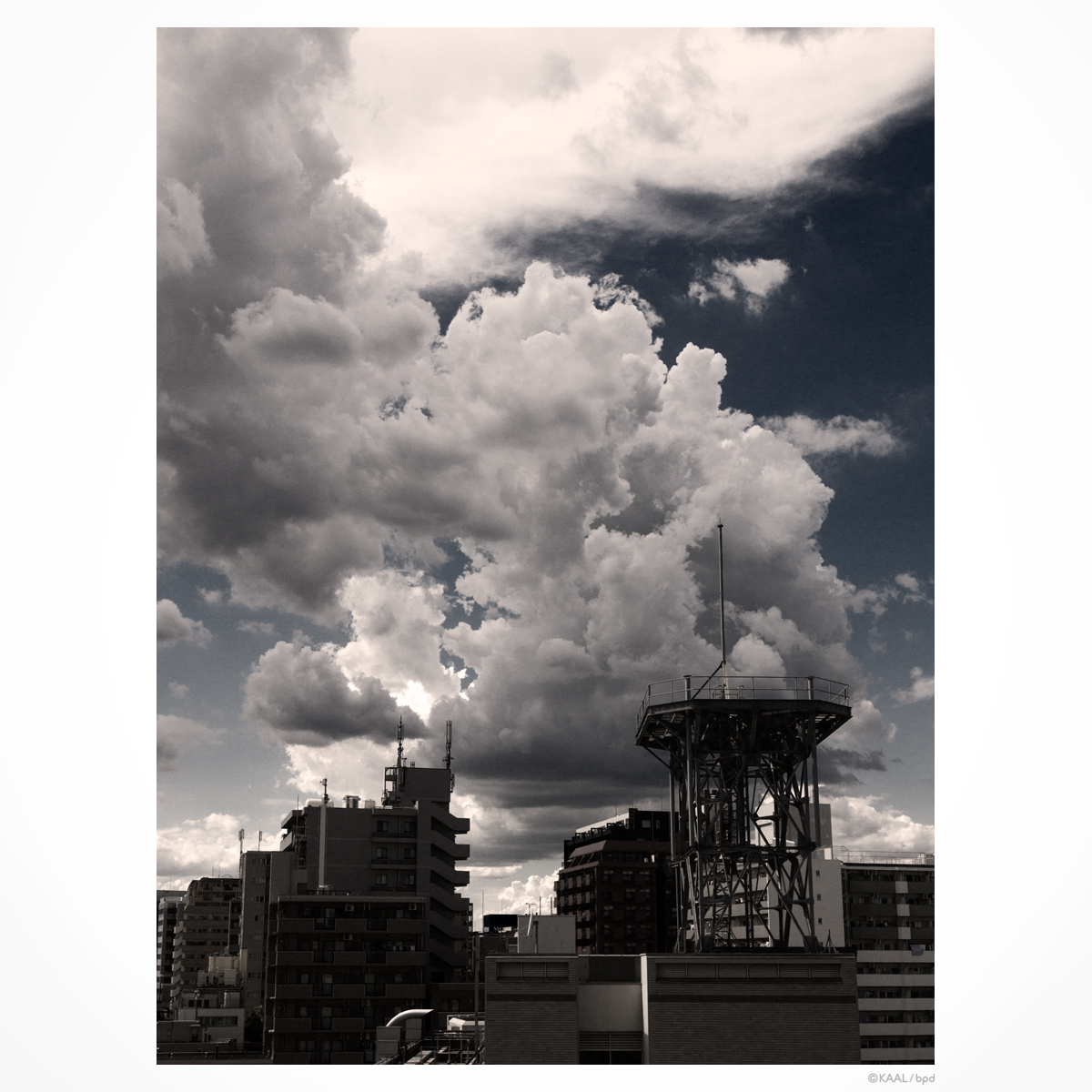 街の空に現れた積乱雲