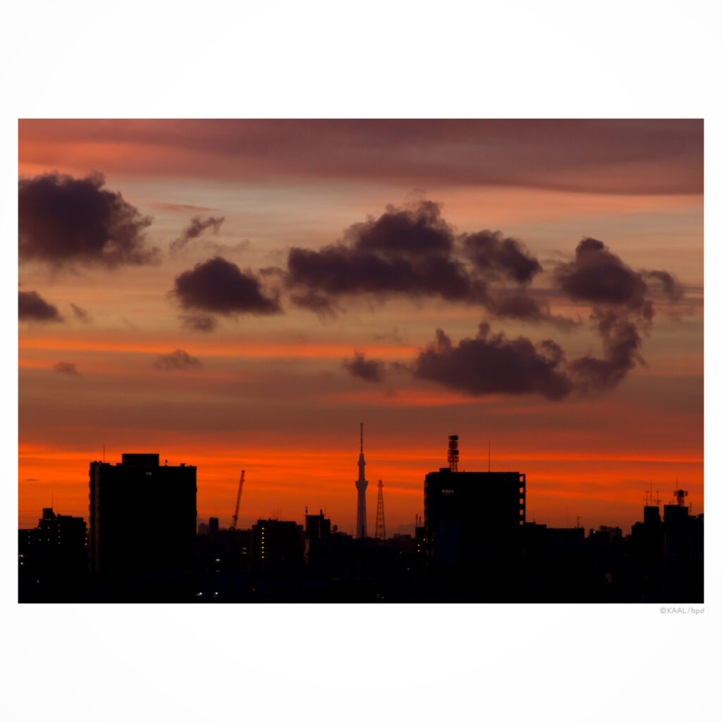 朝焼けの空と東京スカイツリー