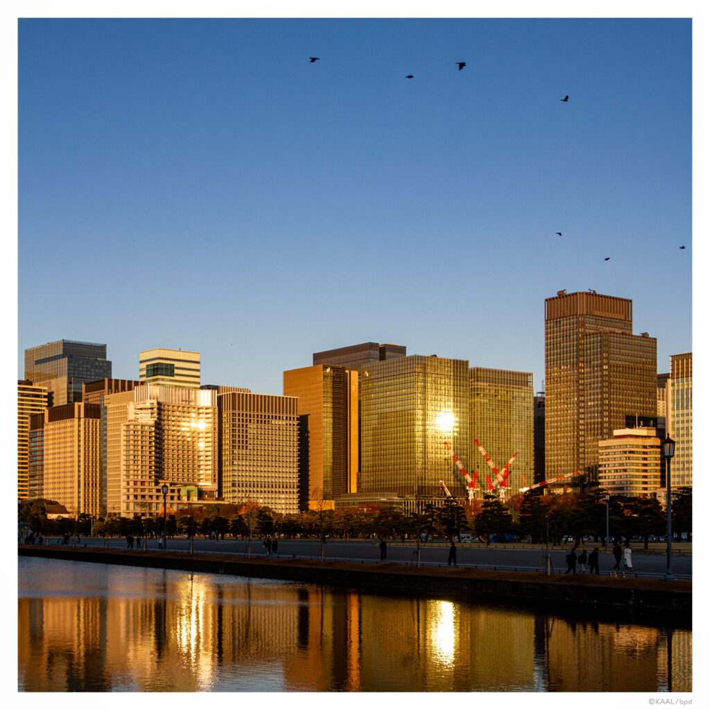 夕陽を反射して黄金色に輝く大手町のビル群