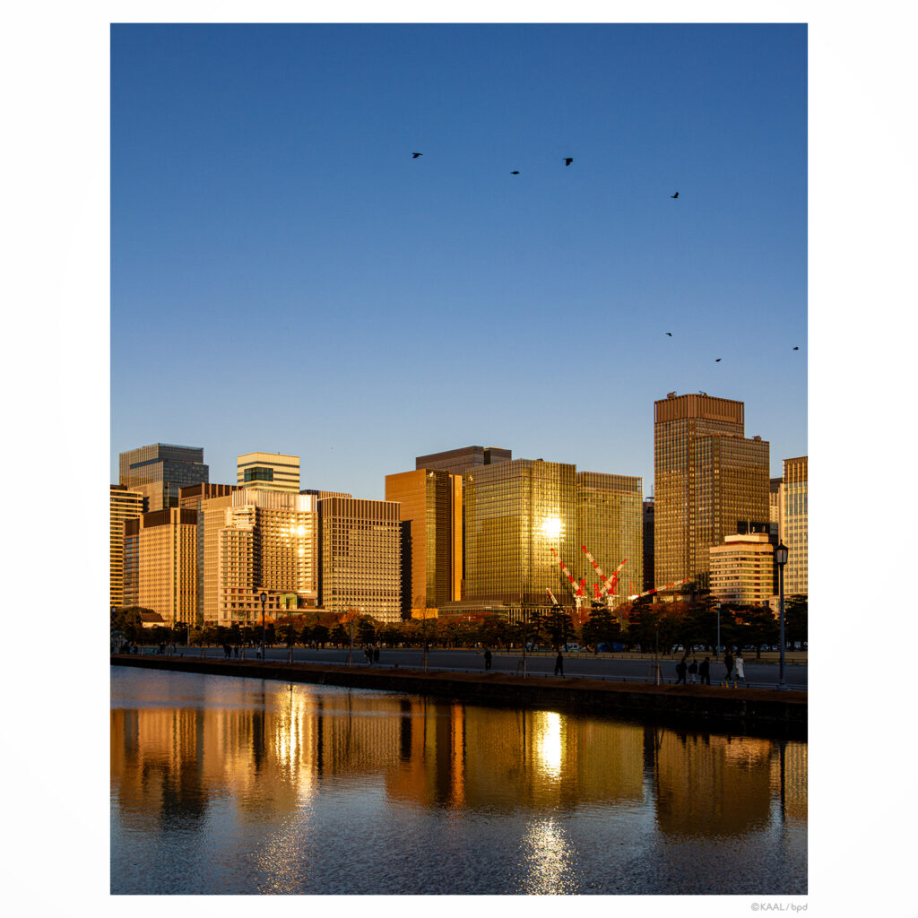 夕陽を反射して黄金色に輝く大手町のビル群