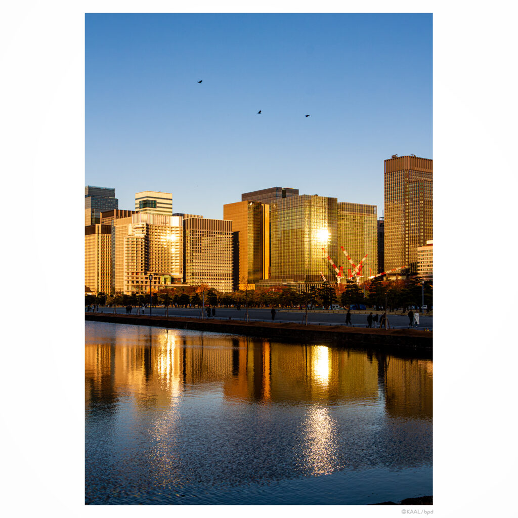 夕陽を反射して黄金色に輝く大手町のビル群