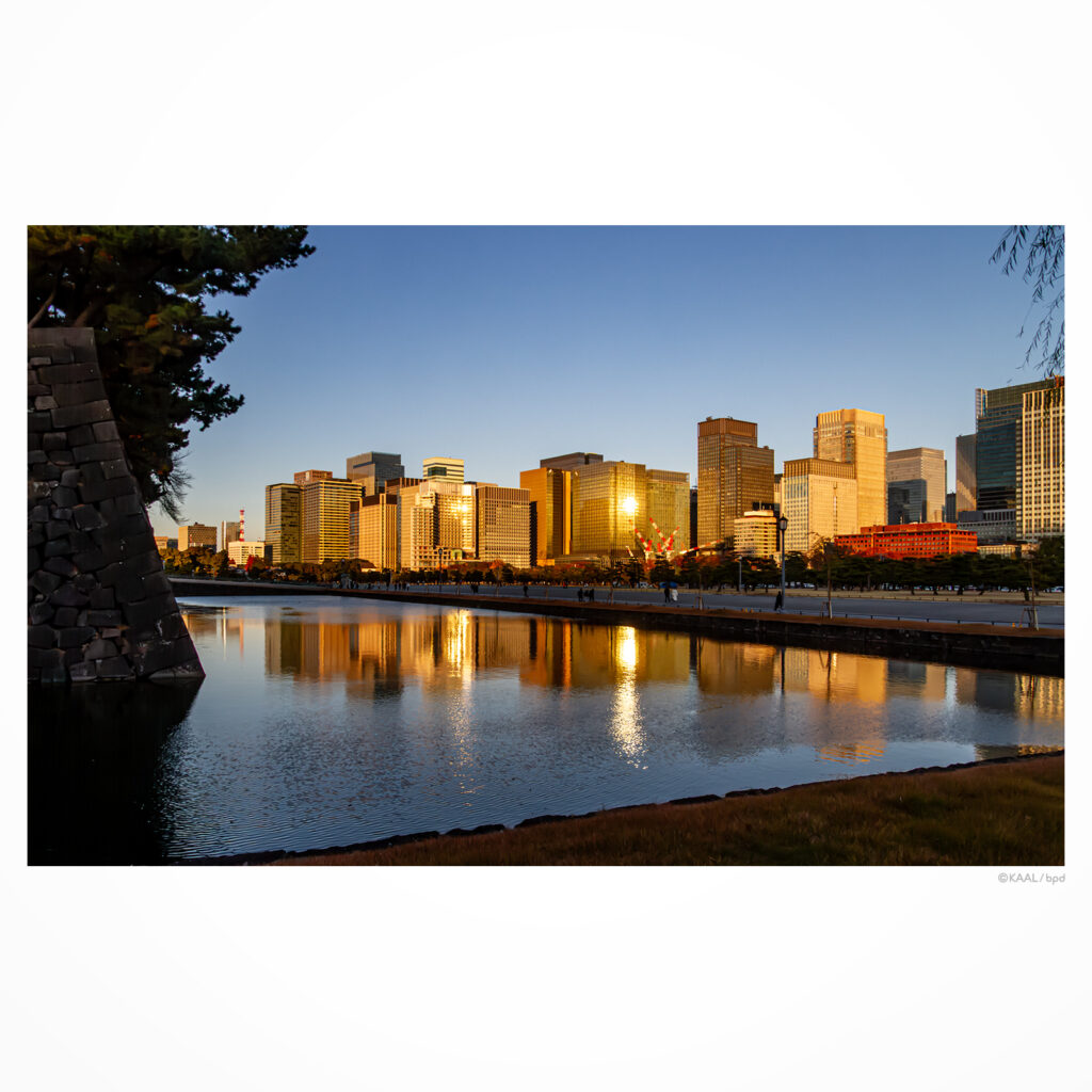 夕陽を反射して黄金色に輝く大手町のビル群