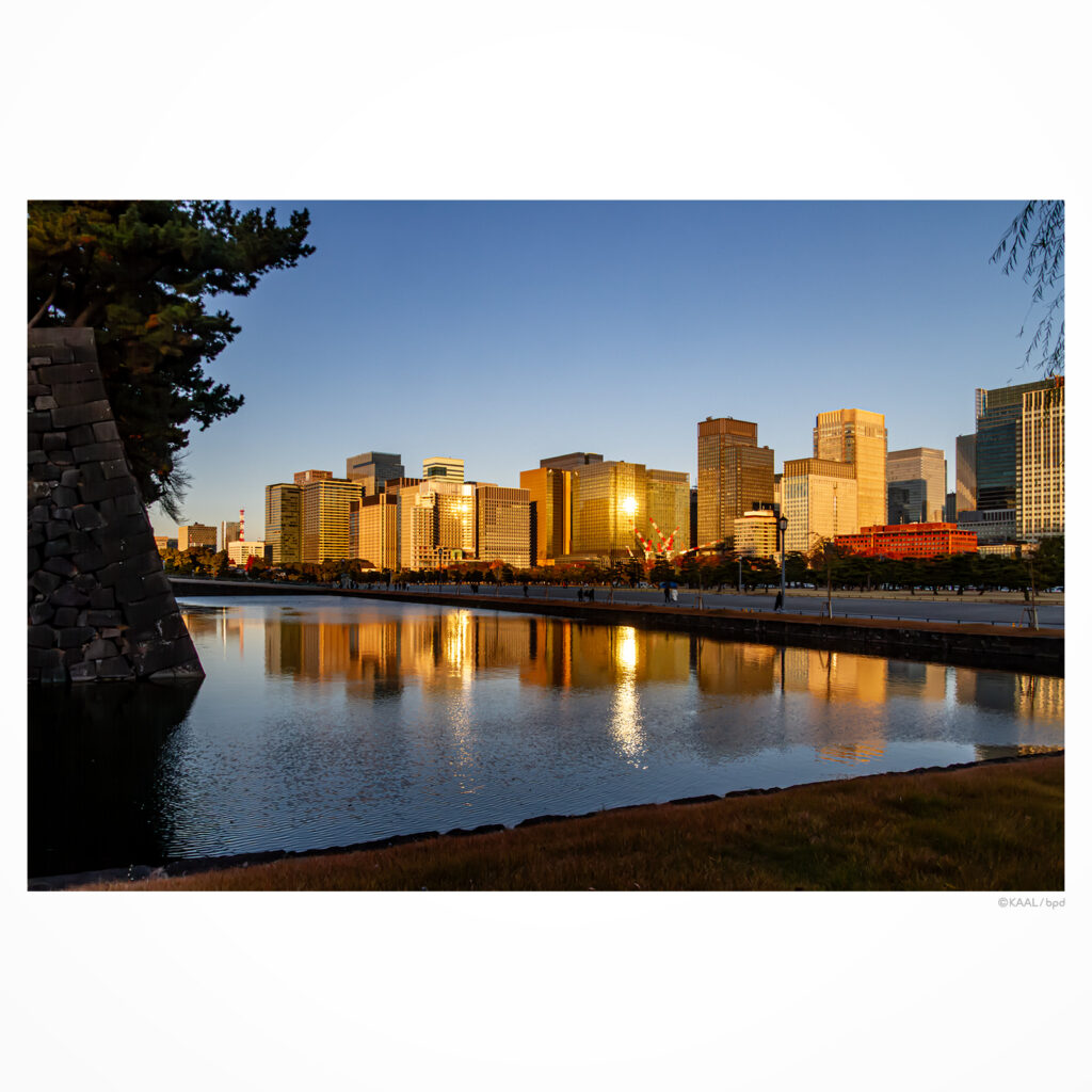 夕陽を反射して黄金色に輝く大手町のビル群