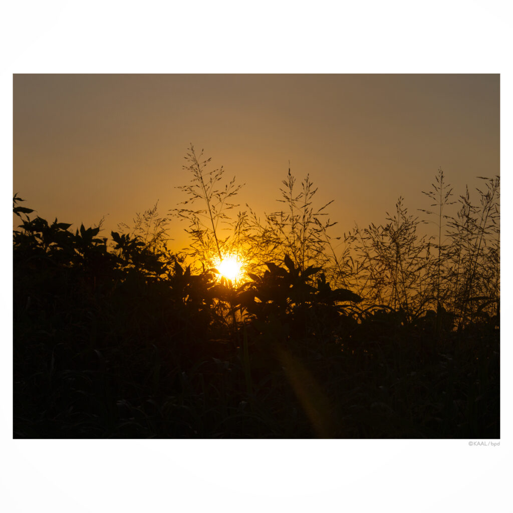 荒川河川敷の夕焼け