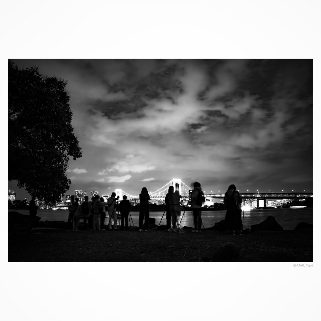 レインボーブリッジの夜景を撮る人々のシルエット