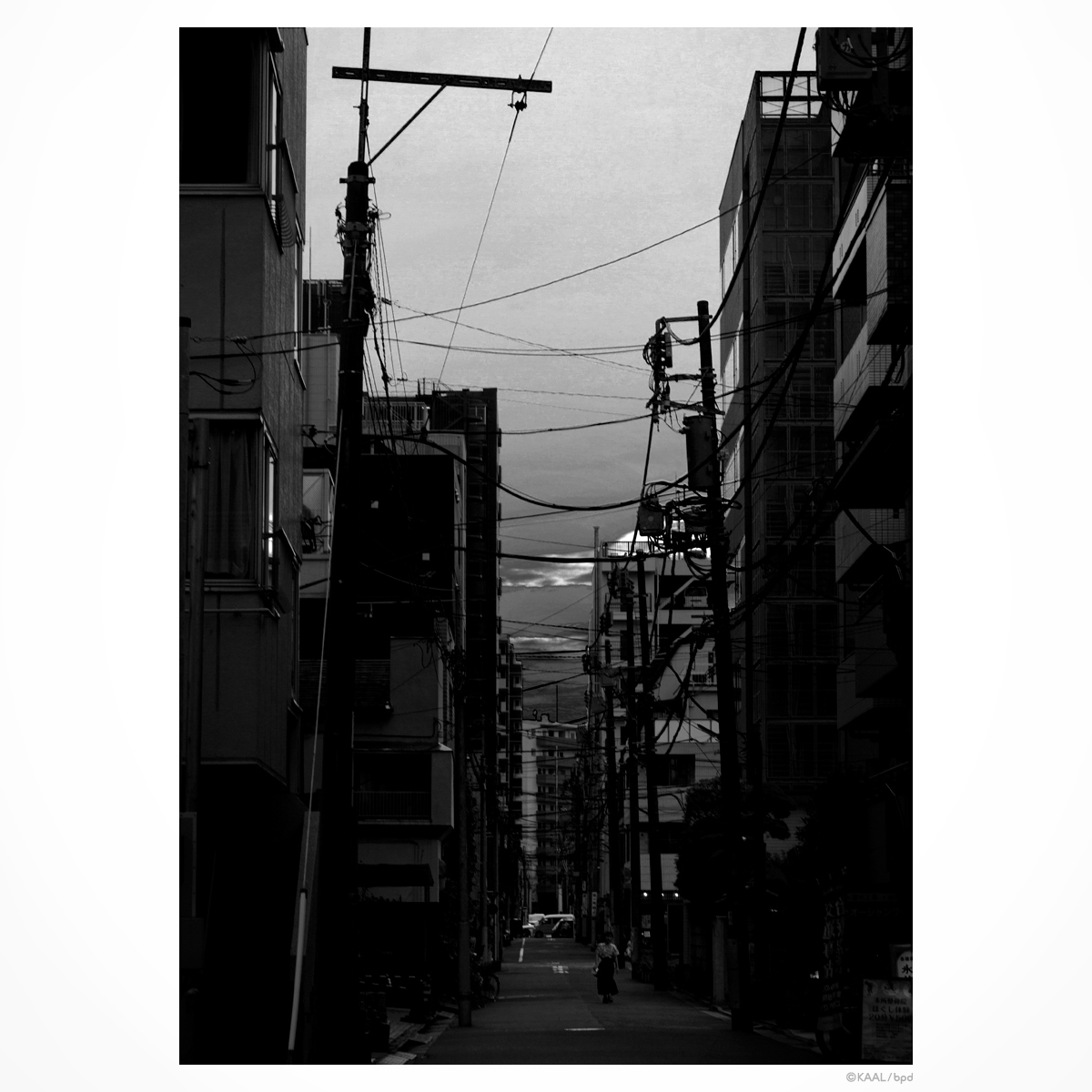 墨田区　夕景
