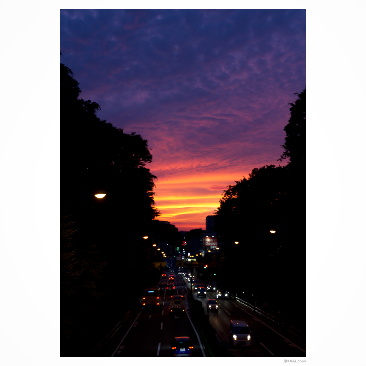色鮮やかな夕暮れ