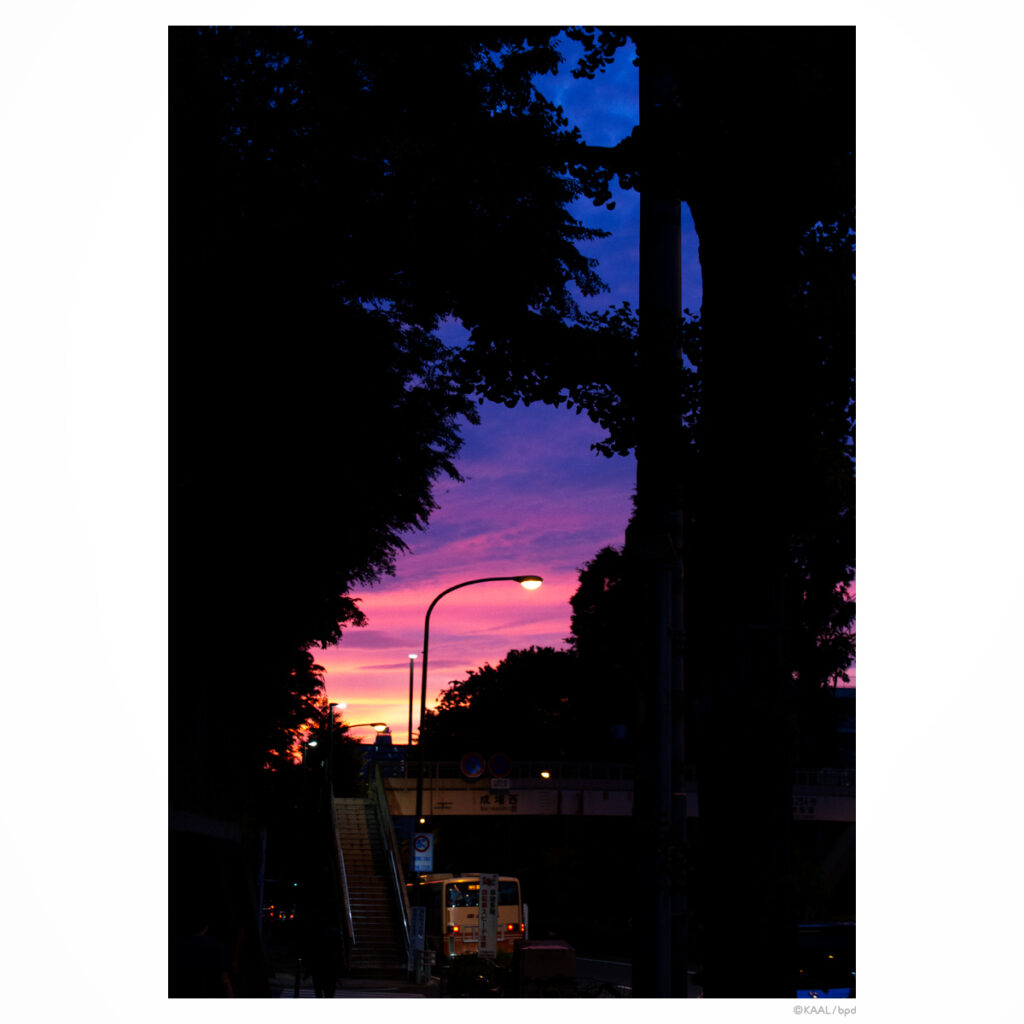 色鮮やかな夕暮れ