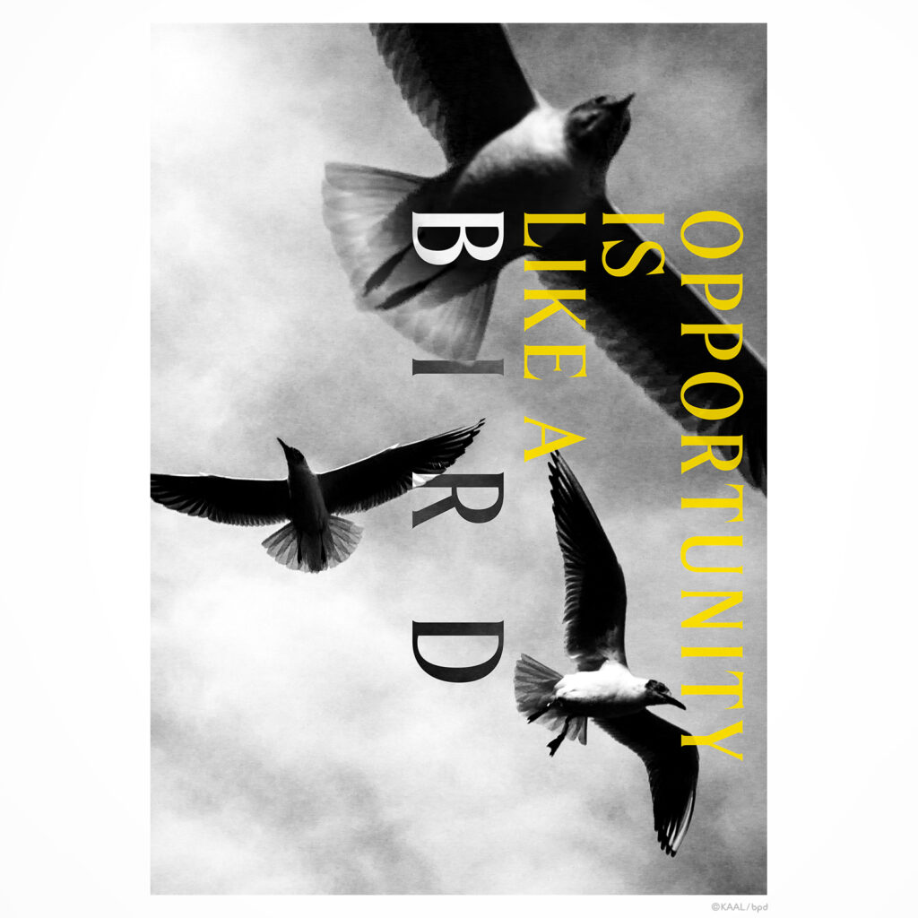 ユリカモメ　ポスターアート by KAAL