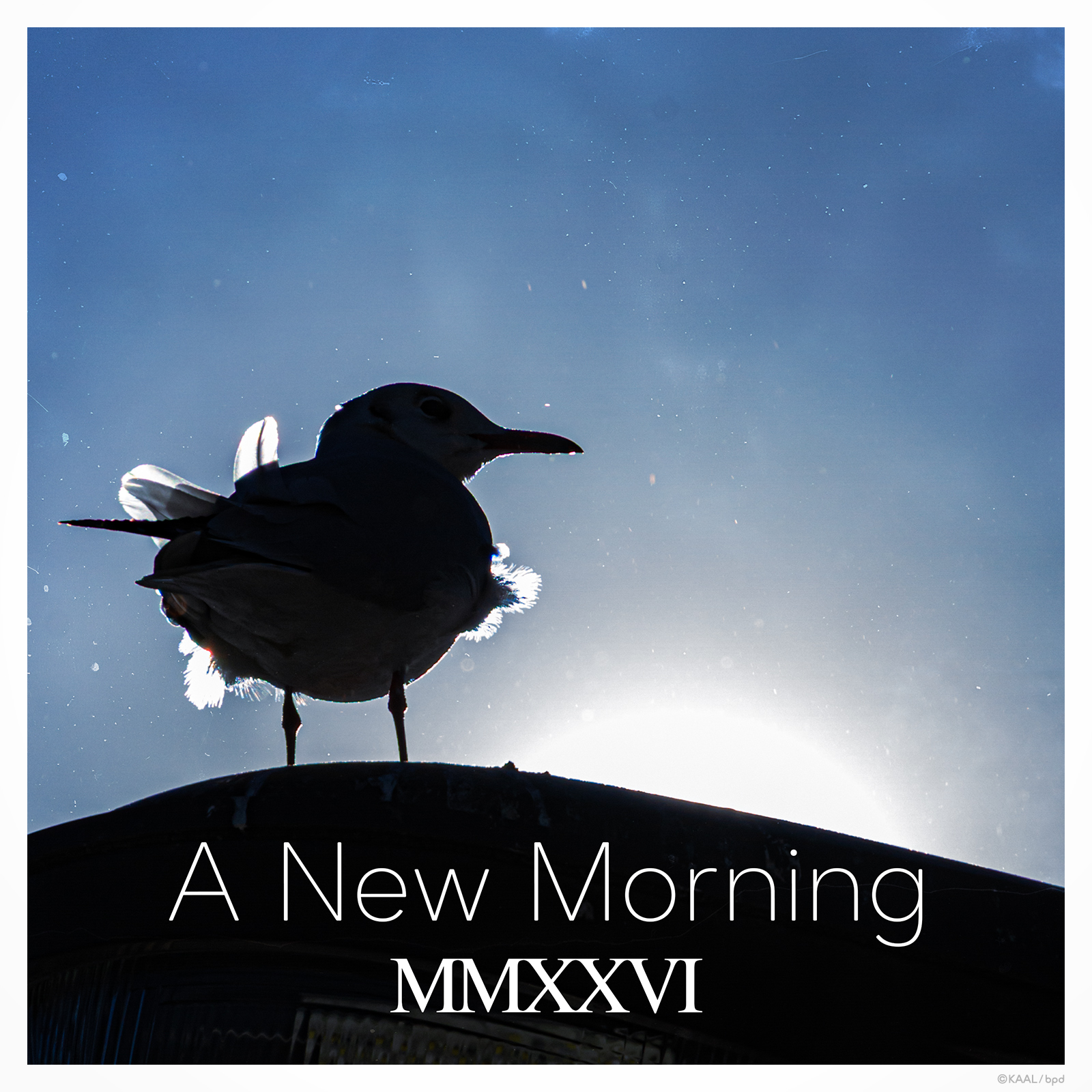 A New Morning yurikamome artwork by KAAL